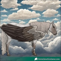 Horse Color:White Spotted Silver Blue Roan 