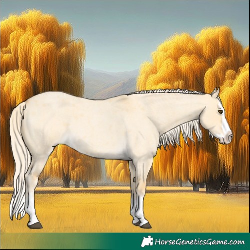 Horse Color:Palomino Roan Dun Splash