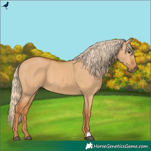 Horse Color:Red Dun 