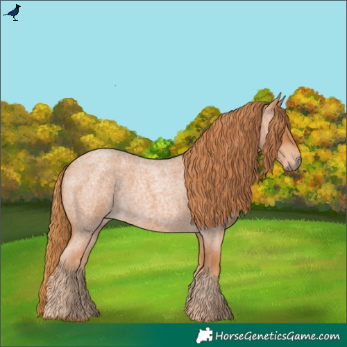 Horse Color:Red Roan 