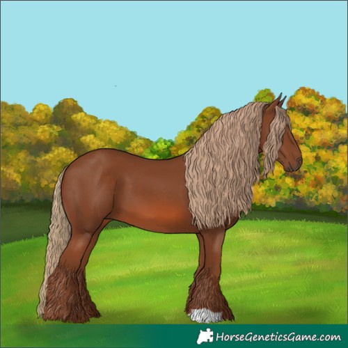 Horse Color:Chestnut 