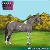 Horse Color:Grullo Tobiano 