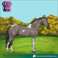 Horse Color:Grullo Tobiano