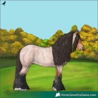 Horse Color:Bay Roan