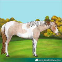 Horse Color:Gray Red Roan Pearl Tobiano Frame 