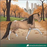 Horse Color:Amber Champagne Tobiano