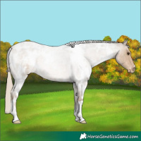 Horse Color:White Spotted Chocolate Palomino Roan Blanket 