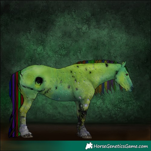 Horse Color:ERROR: UNKNOWN ANOMALY