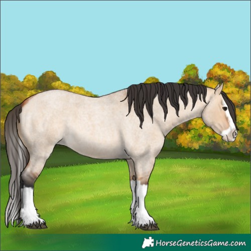 Horse Color:Bay Roan Dun Splash 