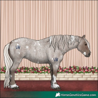 Horse Color:White Spotted Silver Blue Roan 