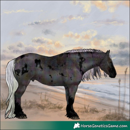 Horse Color:Void Plaid  White Spotted Midnight Silver Bay Ice Onyx Sabino 