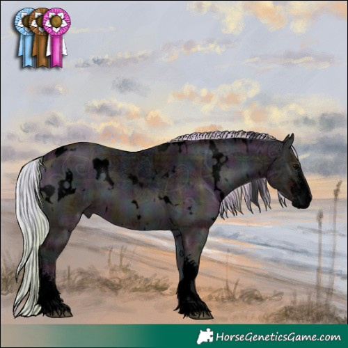 Horse Color:Void Plaid  White Spotted Midnight Silver Bay Ice Onyx Sabino 