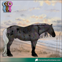Horse Color:Void Plaid  White Spotted Midnight Silver Bay Ice Onyx Sabino 