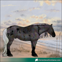 Horse Color:Void Plaid  White Spotted Midnight Silver Bay Ice Onyx Sabino 