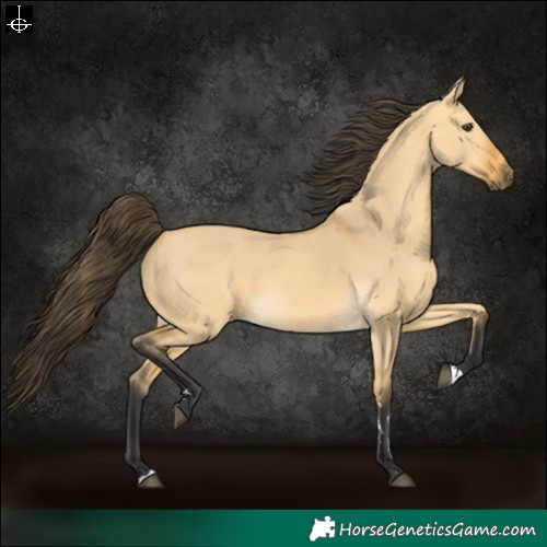 Horse Color:Buckskin Dun 