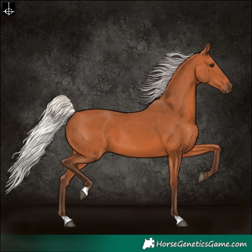 Horse Color:Silver Bay 