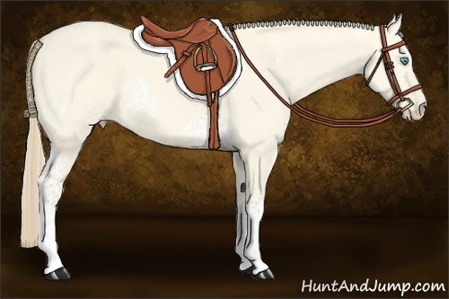 Horse Color:White Spotted Perlino Dun 