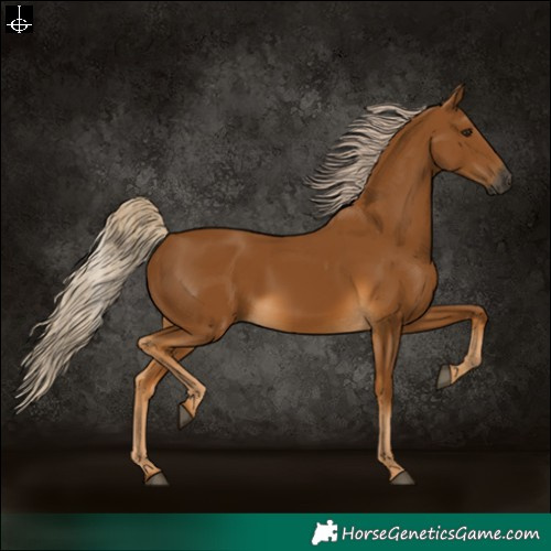 Horse Color:Gray Palomino 