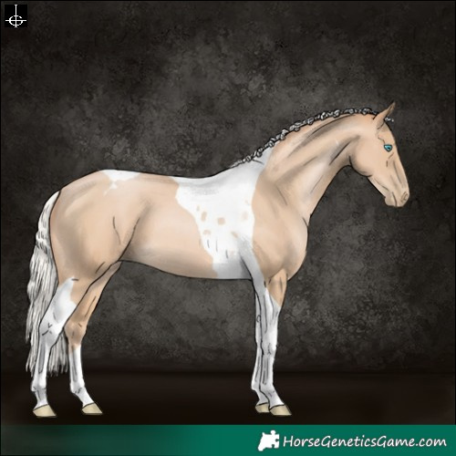 Horse Color:Silver Smoky Black Pearl Tobiano 