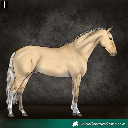 Horse Color:Silver Buckskin Dun Tobiano 