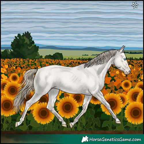 Horse Color:Smoky Creme Roan Dun 