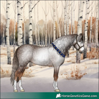 Horse Color:Gray Chestnut 