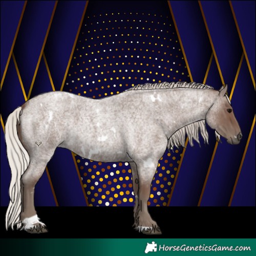 Horse Color:White Spotted Silver Blue Roan 
