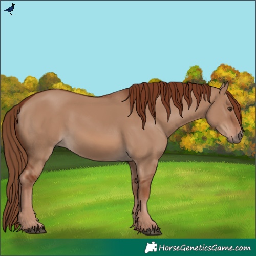 Horse Color:Red Dun 