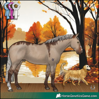 Horse Color:Silver Brown Dun Sabino Rabicano 