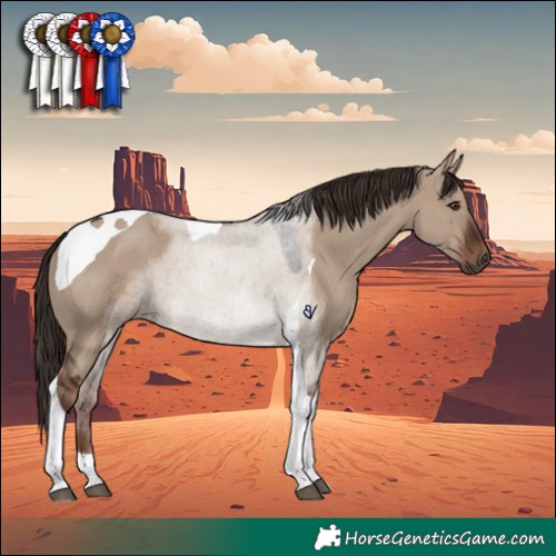 Horse Color:Liver Red Dun Tobiano 