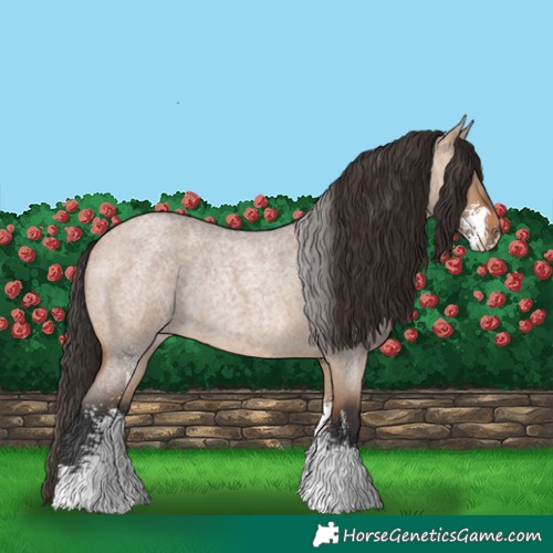Horse Color:Bay Roan Dun Sabino Rabicano 