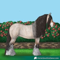 Horse Color:Bay Roan Dun Sabino Rabicano 
