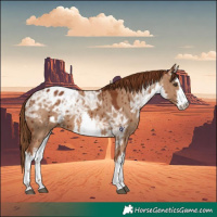Horse Color:White Spotted Red Dun Ice Blanket Brindle 