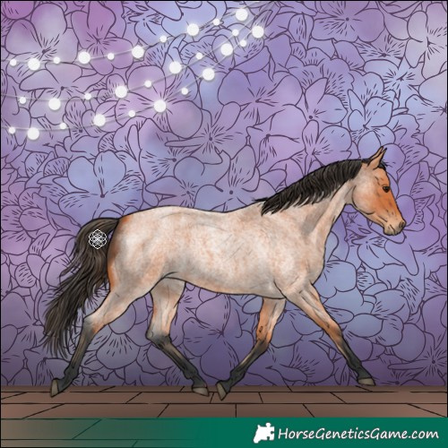 Horse Color:Bay Roan 