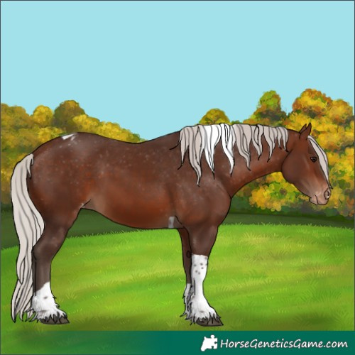 Horse Color:Silver Brown Tobiano Varnish 