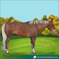 Horse Color:Silver Bay Tobiano Varnish 