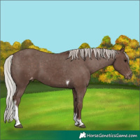 Horse Color:Silver Black Tobiano Varnish 