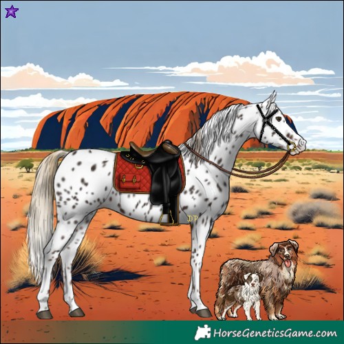 Horse Color:Liver Chestnut Tobiano Leopard 