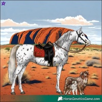 Horse Color:Liver Chestnut Tobiano Leopard 