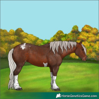 Horse Color:Silver Brown Tobiano Blanket