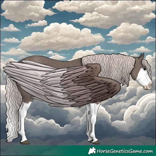 Horse Color:Silver Black Splash