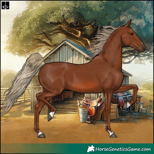 Horse Color:Chestnut 