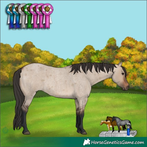 Horse Color:Brown Roan Dun Rabicano 
