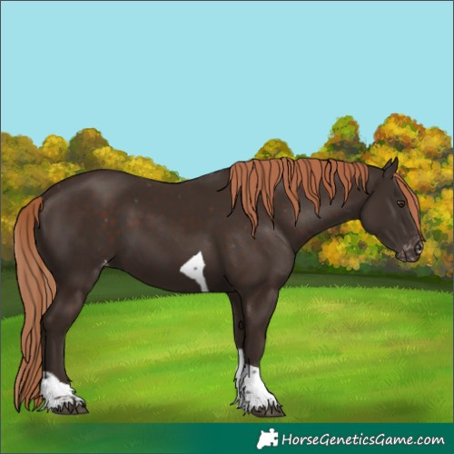 Horse Color:Liver Chestnut Tobiano Varnish 
