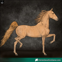 Horse Color:Chestnut  and Chestnut 