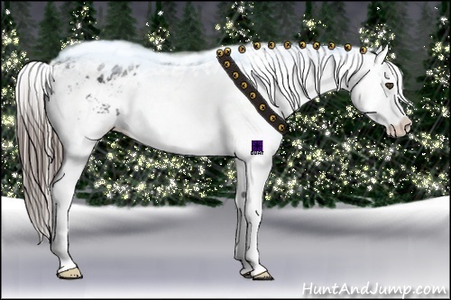 Horse Color:White Spotted Black Frame Varnish Rabicano