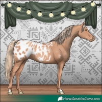 Horse Color:Gold Champagne Appaloosa Rabicano 