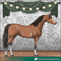 Horse Color:Bay Sabino 