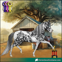 Horse Color:Powder White Black Splash Tobiano Snowflake Varnish