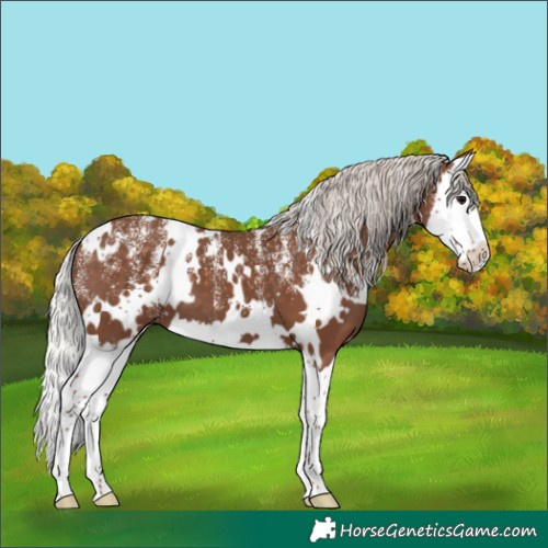 Horse Color:Powder White White Spotted Silver Black Splash 